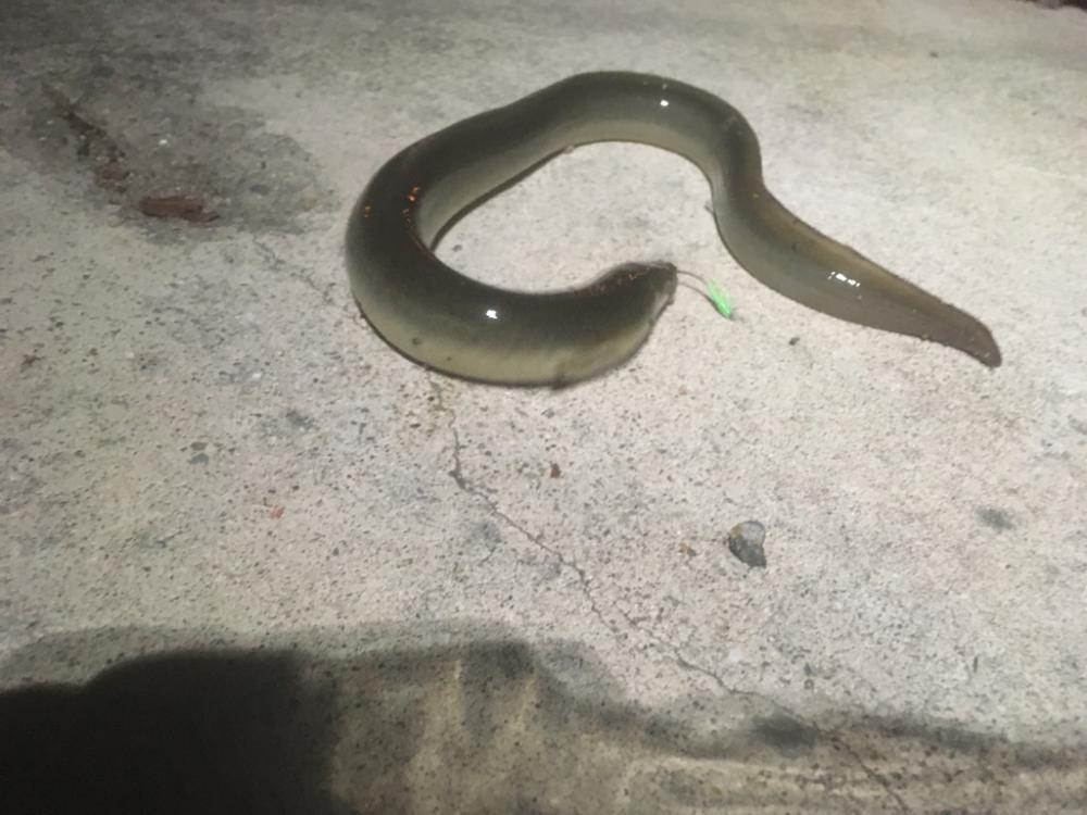 最後の一投で‥