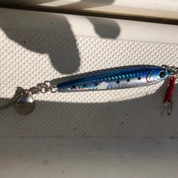 やっぱり海は玉手箱やー