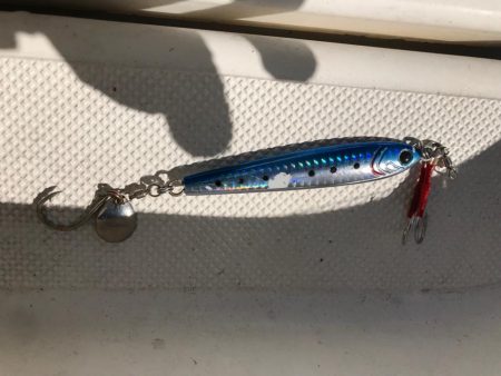 やっぱり海は玉手箱やー