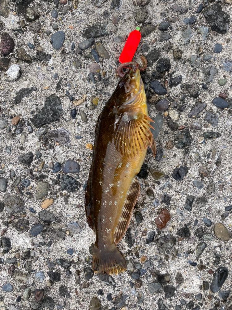 そう甘くはなかった