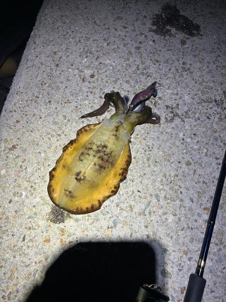 調子が良くない