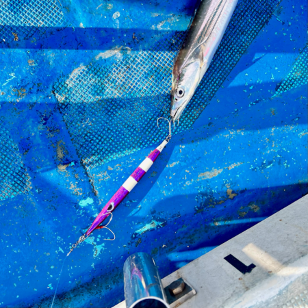 タチウオ/タチウオジギング・タチウオテンヤ…