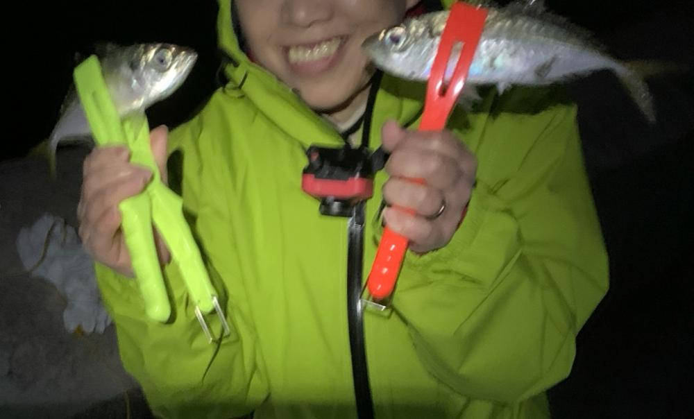 和歌山マリーナシティでタチウオ、アジ、ガシラ