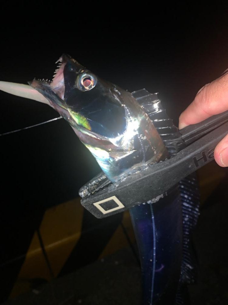 時合に限ってライントラブルします⤵︎