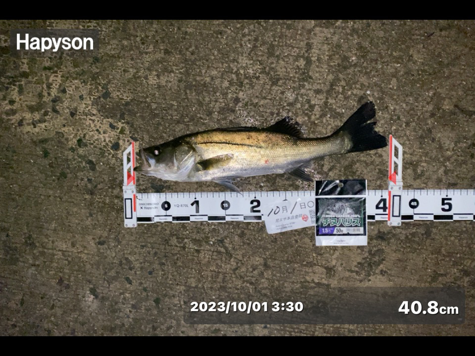 雨が降ったり止んだりの天気