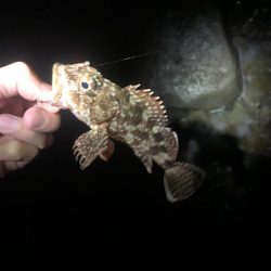 フロートアジング