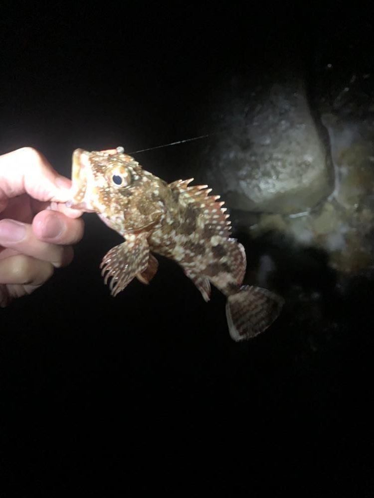 フロートアジング