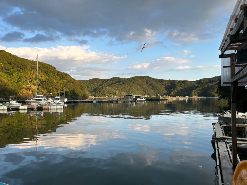 あなたに逢い鯛釣り堀 朝ゆっくりコース