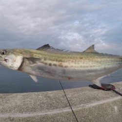 2023ライトゲーム第37戦