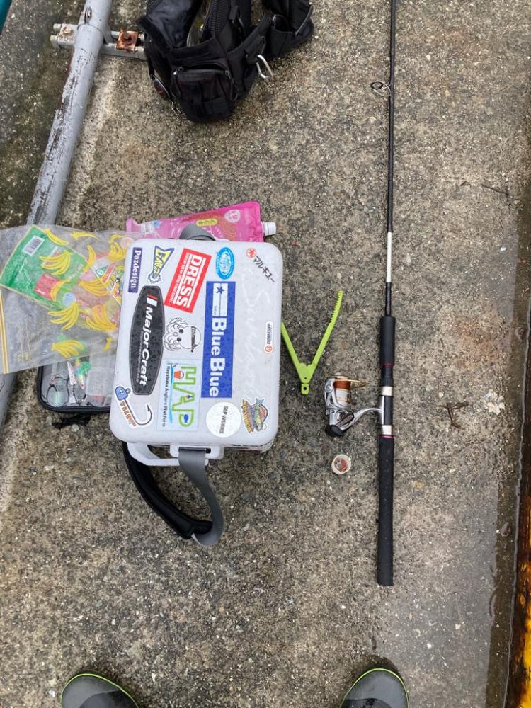 ⭐️マイワシチャレンジ成功