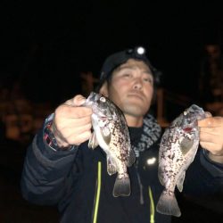 ライトゲーム最高😁…