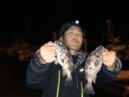 ライトゲーム最高😁…