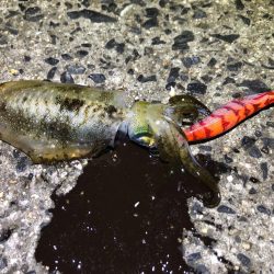 ありがとうございます。