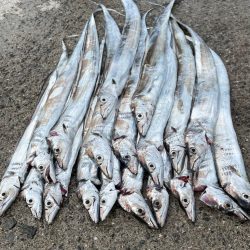 惜しくも、、、