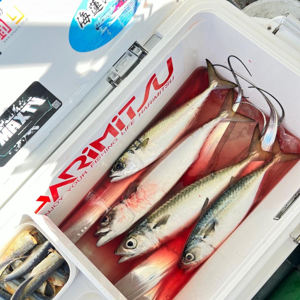 タチウオ/タチウオテンヤ・ジギング