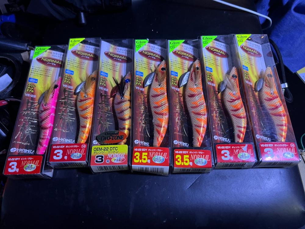 烏賊を探して三千里 Vol.4