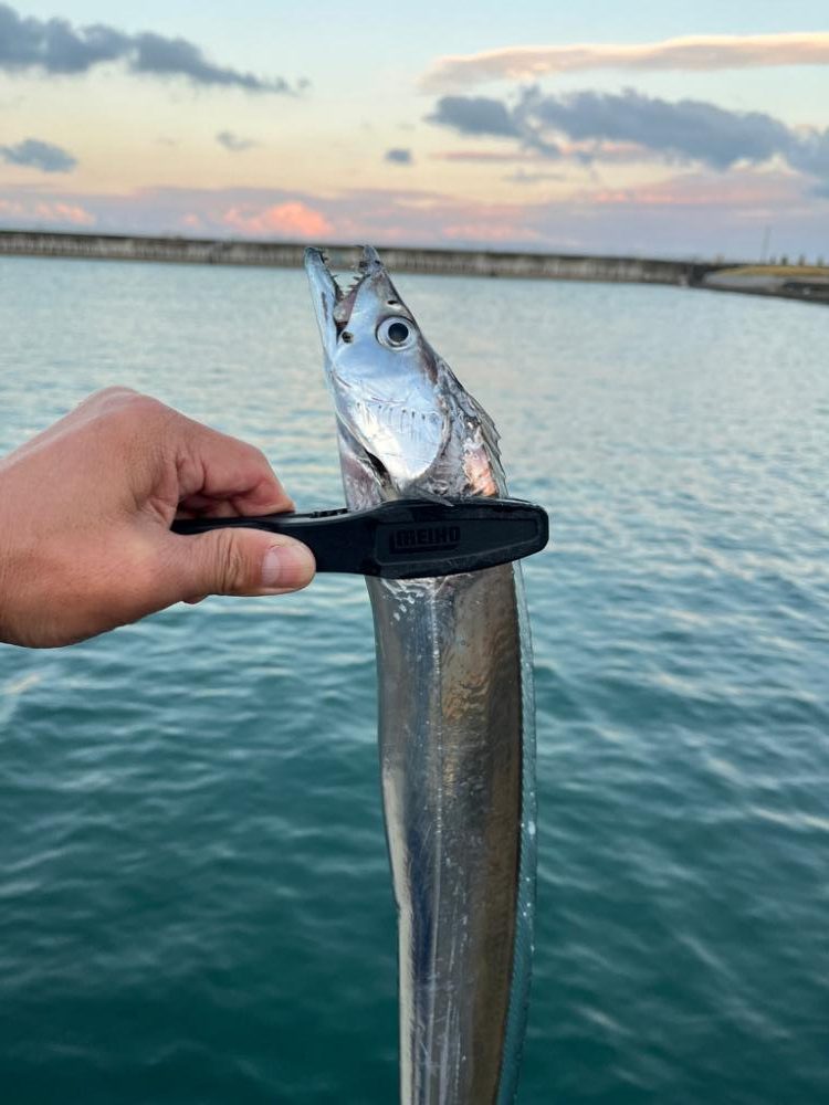 あと少しでドラゴン