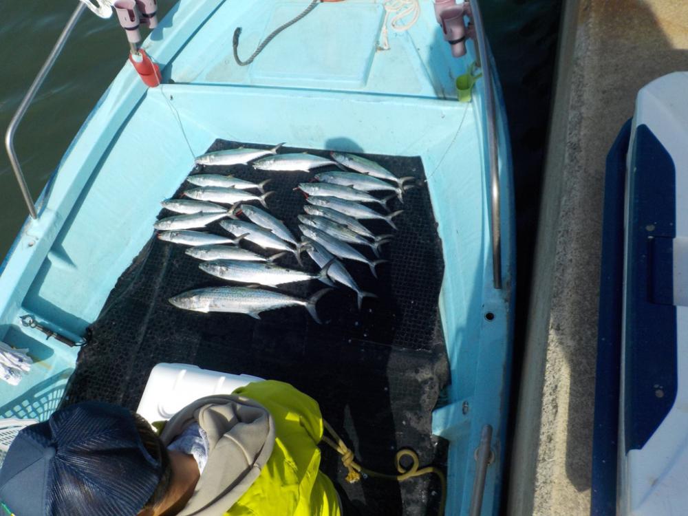 初サワラキャスティング〜タツ建丸〜