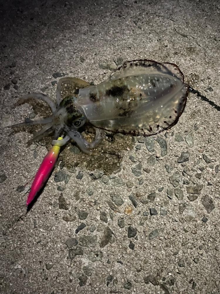 曇りのち、強風のち、雨。