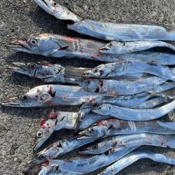 今年初ツ抜け‼️…