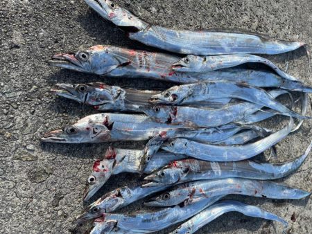 今年初ツ抜け‼️…