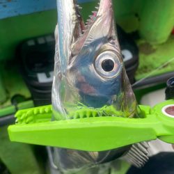 渋いではなく過酷（苦笑）