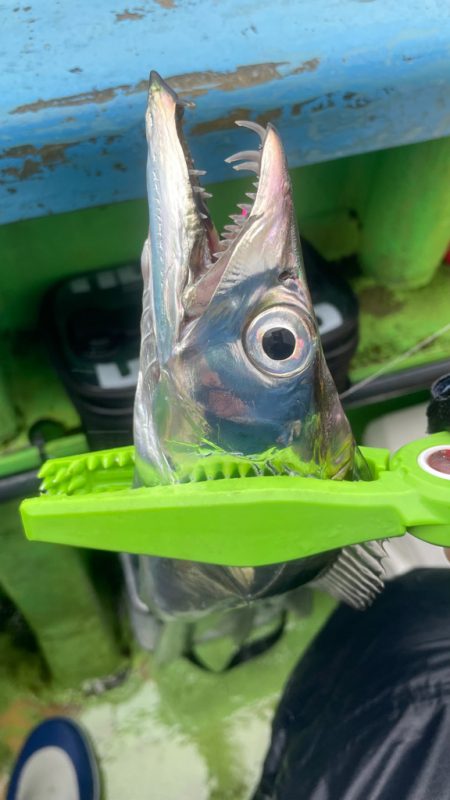 渋いではなく過酷（苦笑）