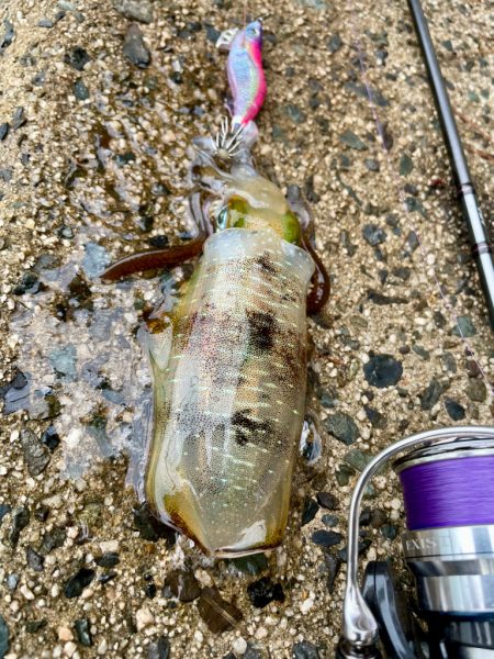 ランガンあるのみ