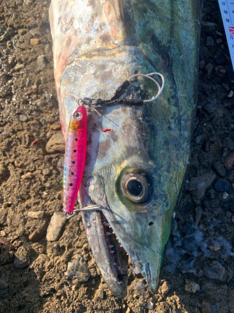 今日は釣れるかなぁ〜?