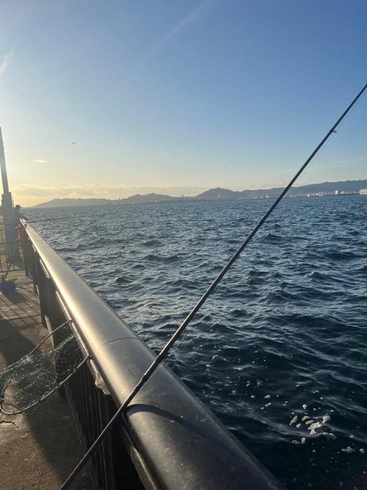 久しぶりの青物