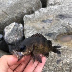 投げ釣りandチビロックゲーム