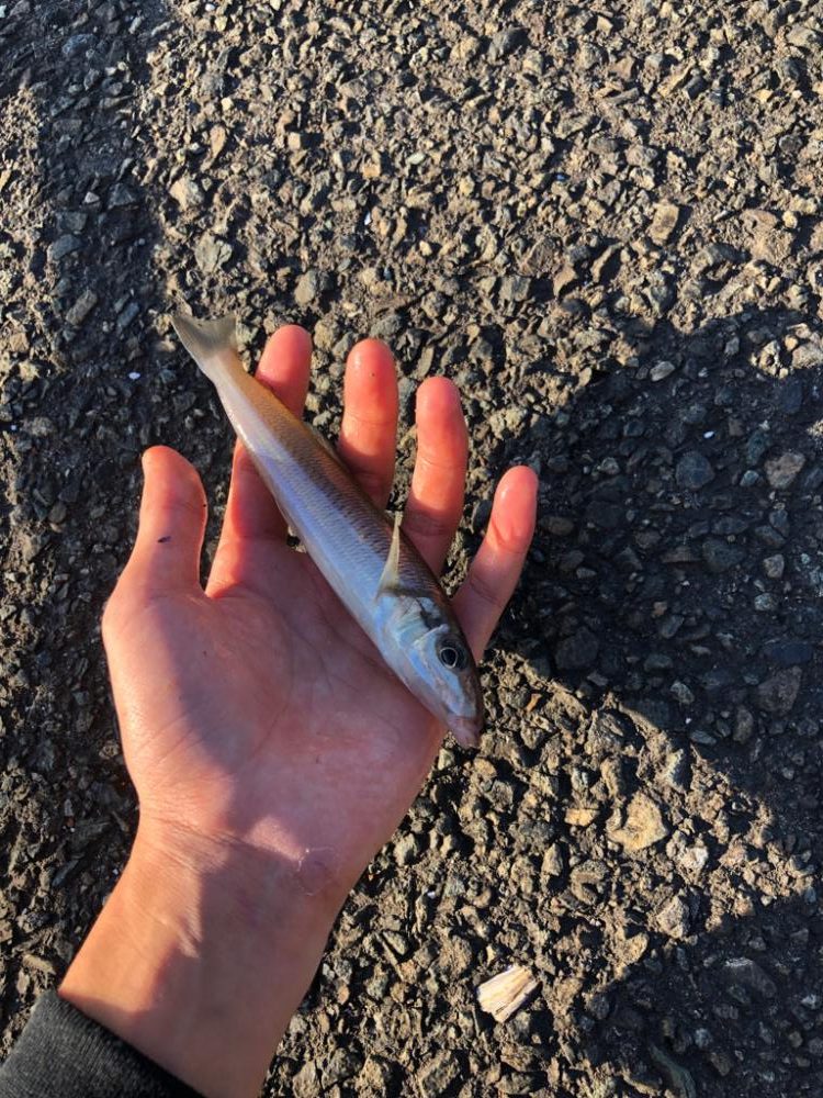 久々の名古屋港