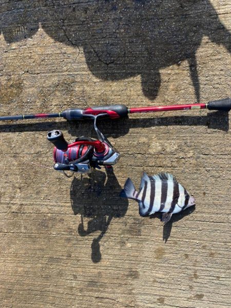 1日堤防釣行　エサ検証企画