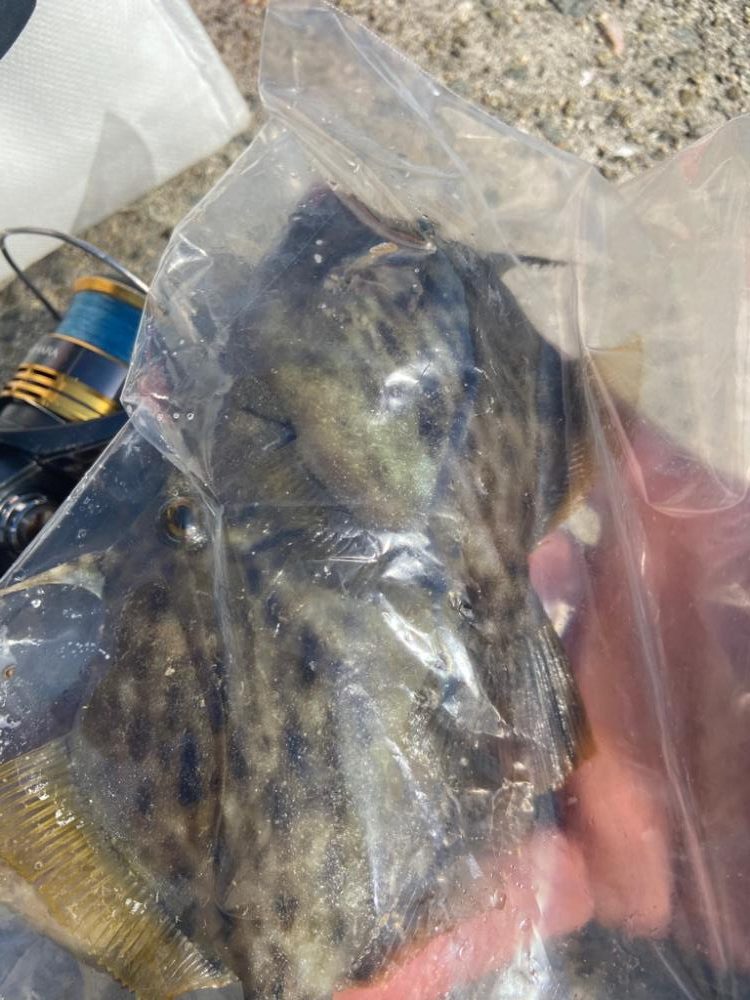 Mission Impossible:ちょい投げシロギスタ