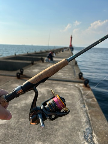 今日もご機嫌伺い