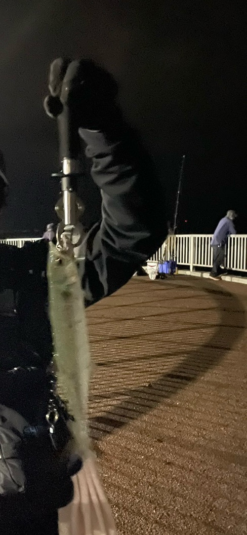 巨大ナブラ後暴風雨