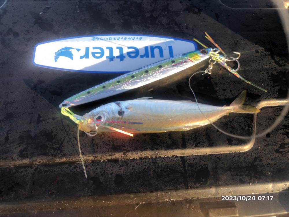 10/24 伊島沖ジギング