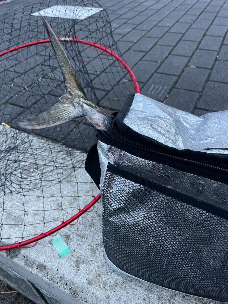 ずぶ濡れになりながら何とか一本！