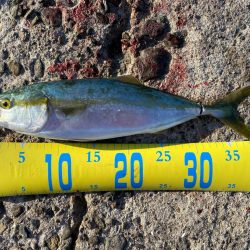 フックのメンテは必要！？