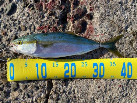 フックのメンテは必要！？