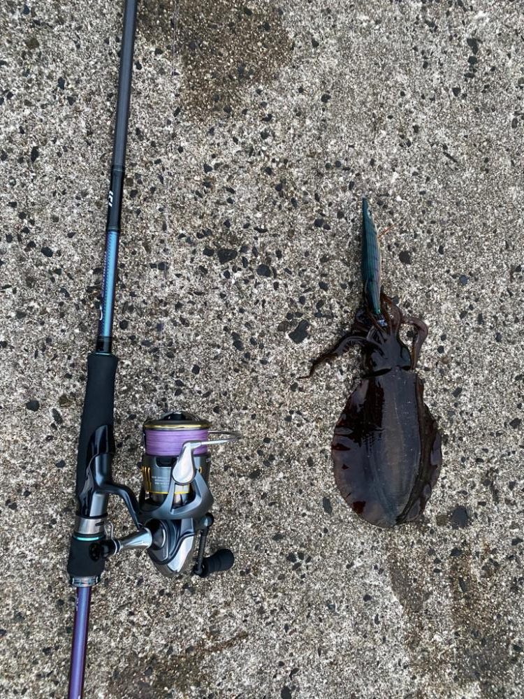 鳥取エギング21杯　