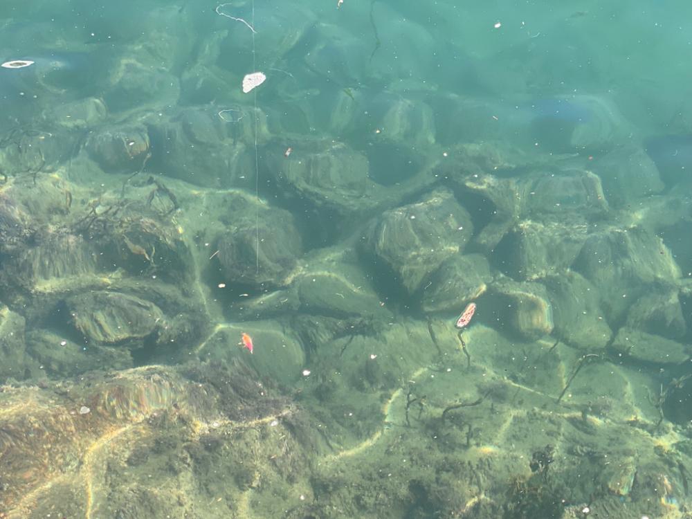 爆風エギング　風速6m