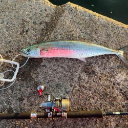 久しぶりのジギング