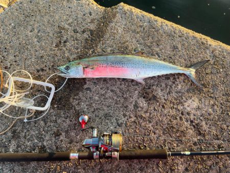 久しぶりのジギング