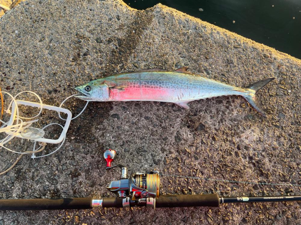 久しぶりのジギング