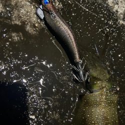 ポイント変更して！