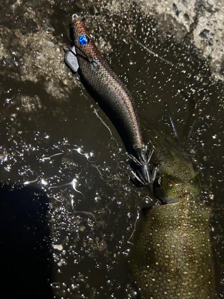 ポイント変更して！