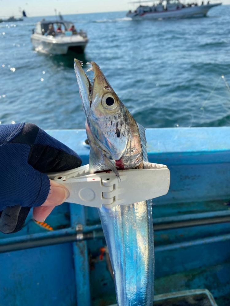 タチウオジギング