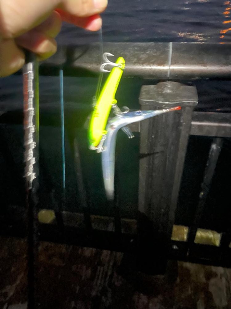 アジは大漁でした