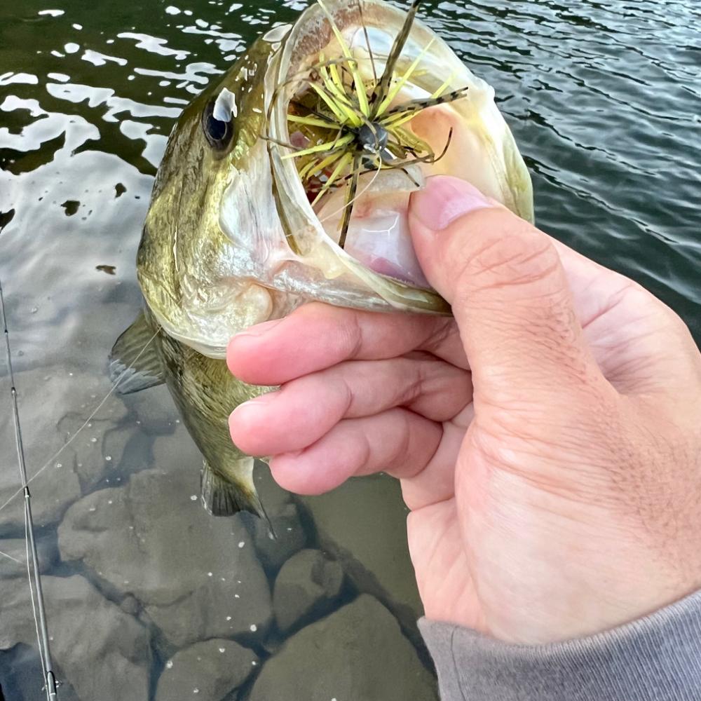 夕まずめにて🌆